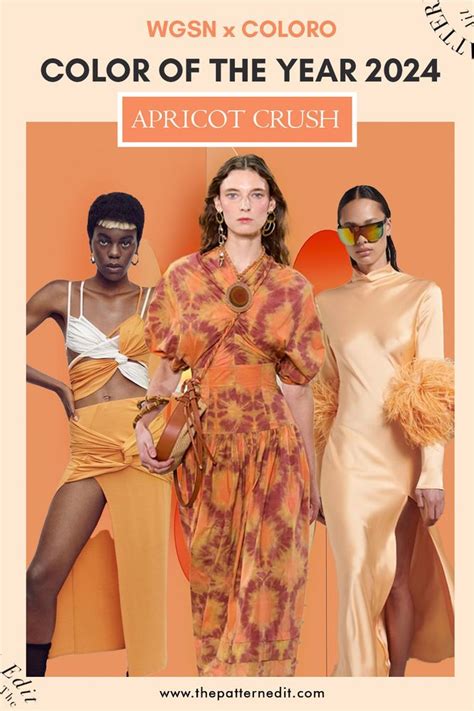 Color of the Year 2024: WGSN Apricot Crush Color Palettes in 2023 ...