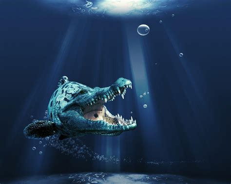 Crocodile Wallpapers - Wallpaper Cave