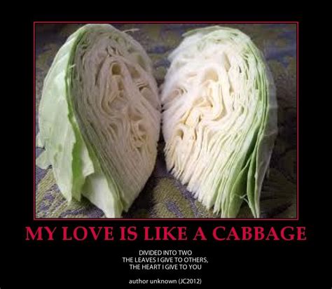 e-Forwards.com | Cabbage, Love poems, Funny poems