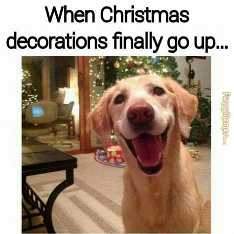 Pin by Nomad's Wanderer on Christmas | Christmas memes funny, Funny ...