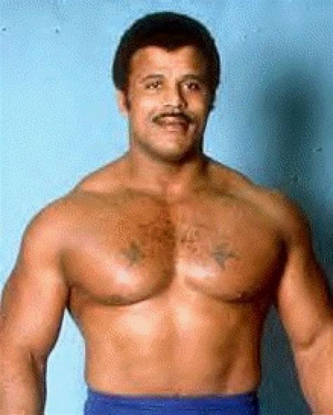 Rocky Johnson: Profile & Match Listing - Internet Wrestling Database (IWD)