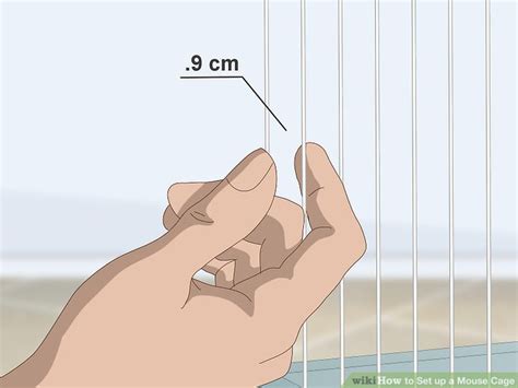 How to Set up a Mouse Cage: 14 Steps (with Pictures) - wikiHow