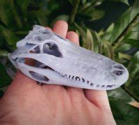 "alligator" 3D Models to Print - yeggi
