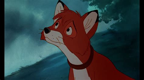 The Fox and the Hound: Screenshots - The Fox and the Hound Photo (38784862) - Fanpop
