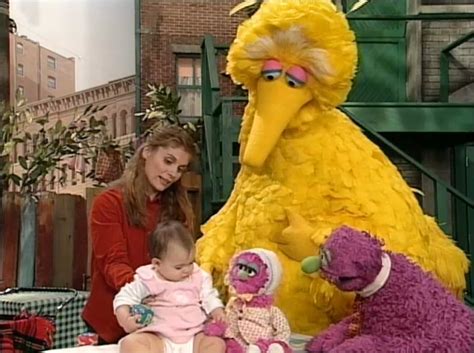 Big Bird, Gina, Hannah, Humphrey, and Natasha | Big bird, Sesame street, Muppets