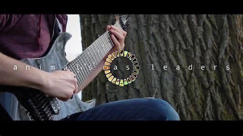 Animals As Leaders - The Woven Web | Guitar cover - YouTube