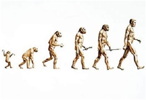 Evolutionary Theory Development timeline | Timetoast timelines