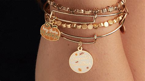 Paw Print Duo Charm Bangle Bracelet - Alex and Ani