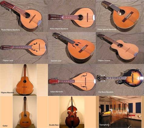 Instruments of the Nat. Univ. of Singapore Rondalla