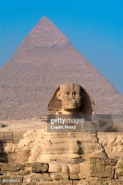 The Sphinx Statue Photos and Premium High Res Pictures - Getty Images