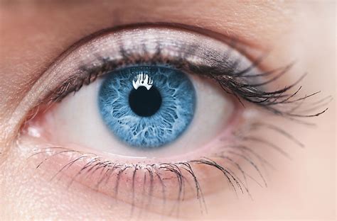 Countries With The Most Blue-Eyed People - WorldAtlas