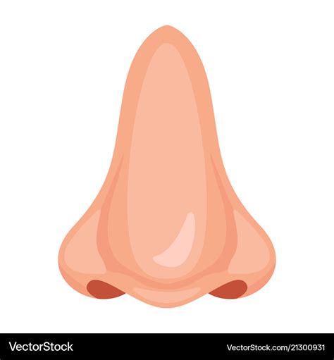 Human nose icon Royalty Free Vector Image - VectorStock