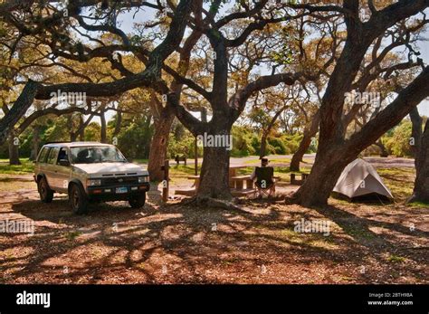 Camping under live oaks at Goose Island State Park, Gulf Coast, Texas ...