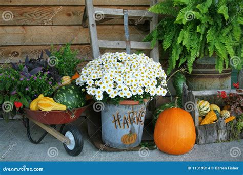 Harvest Decorations stock photo. Image of bounty, baskets - 11319914