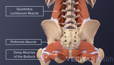 Physical Therapy and Exercise for Sciatica | Spine-health