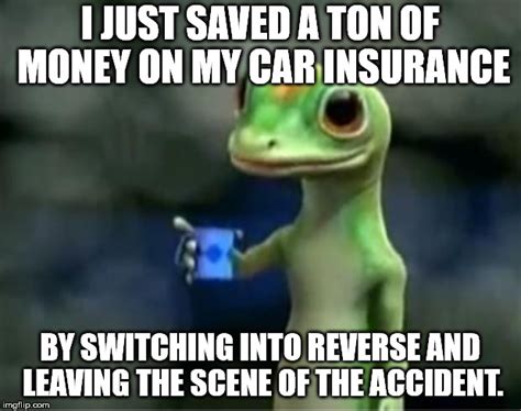 Geico Gecko - Imgflip