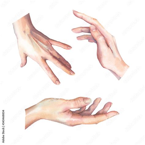 Watercolor hands gesture set. Isolated human palm clip art. Stock Illustration | Adobe Stock