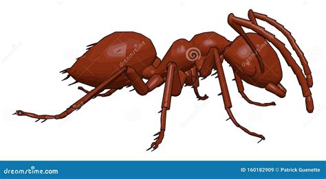 3D Red Ant, Illustration, Vector Stock Vector - Illustration of little, idiot: 160182909