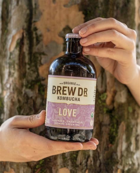 8 Best Kombucha Brands | The Quality Edit