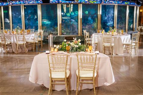 Shedd Aquarium | Chicago Venue | All Events | 164 photos on PartySlate