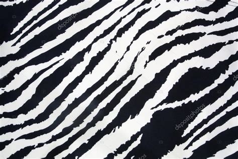 Zebra strip Stock Photo by ©onairjiw 51946693