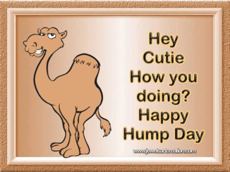 Happy Hump Day Cartoon