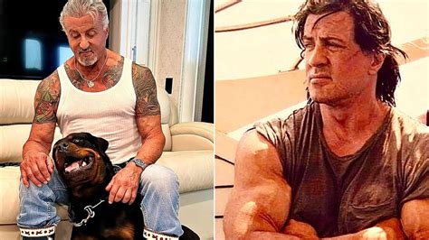 Sylvester Stallone Shows Off Jacked Biceps In Inspiring Message ...