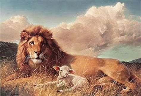 Lion And Lamb Jesus 1280 X 800 - Lion Lamb Digital Art Pixels _ Lion ...