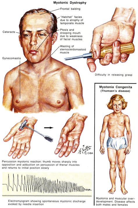 Медицинский, Медицинская школа, Школа