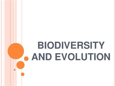 Biodiversity and evolution