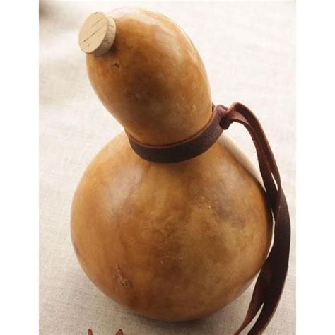 Gourd Water Bottle | Gourds, Water bottle, Bottle