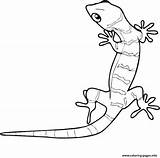 Animal Gecko S1e03 Coloring Pages Printable sketch template