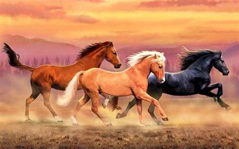 Wild Horses Wallpapers - Top Free Wild Horses Backgrounds - WallpaperAccess