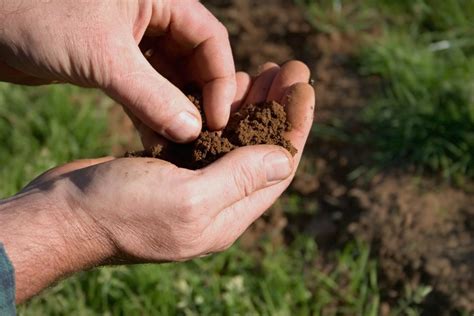 Garden Soil: How to Prepare Your Soil for a Garden | Garden Design