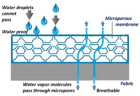 Waterproof Breathable Fabrics - Types, Features, Applications & Trends ...