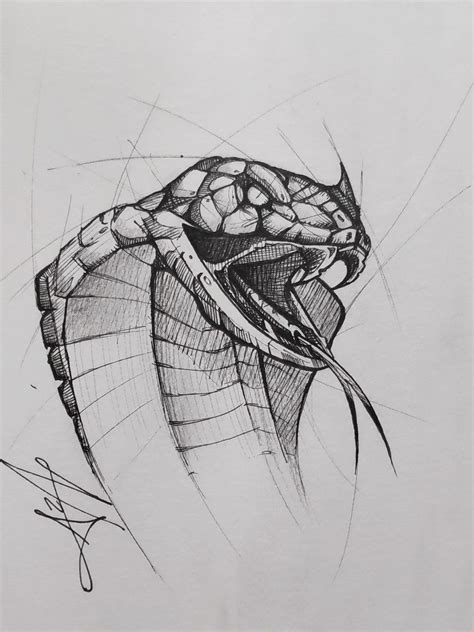 Pin by Sanele Dhlamini on Drawing Tips | Snake drawing, Snake sketch, Cobra tattoo