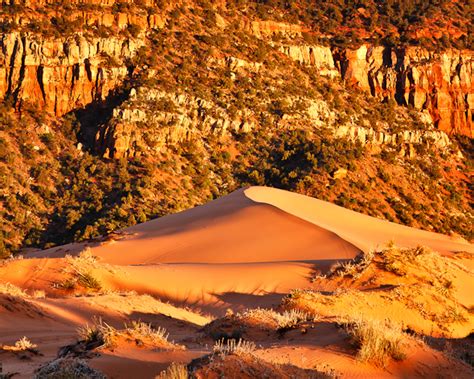 Coral Pink Sand Dunes in Utah - Anne McKinnell Photography