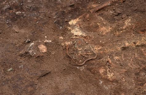 Archaeologists Excavate Burial Mound Containing Scythian Grave Goods - HeritageDaily ...