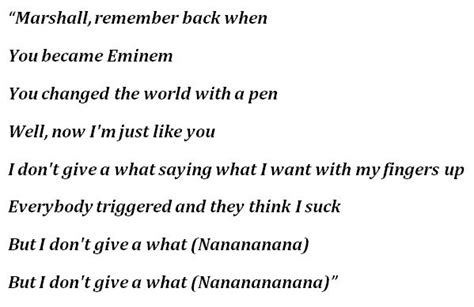 "Dear Slim" by Tom MacDonald - Song Meanings and Facts