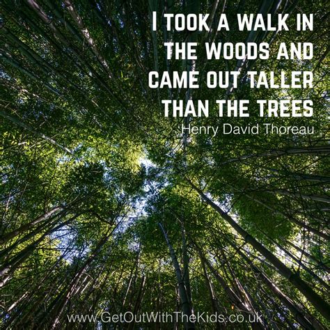 "I took a walk in the woods and came out taller than the trees." | Walk in the woods, Tree ...