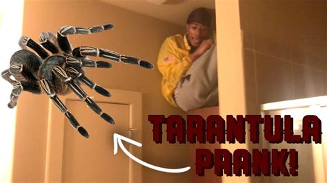 SPIDER PRANK ON BROTHER!!! (TERRIFYING) - YouTube