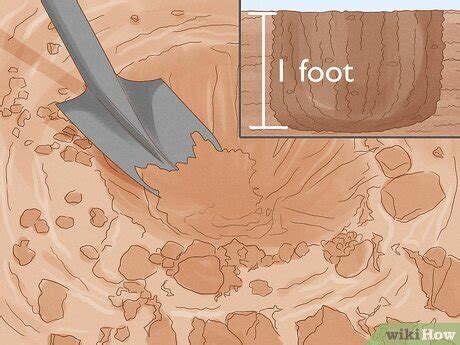 How to Make a Compost Pit: A Guide for Backyard Gardening