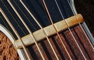 6 BEST Guitar Nut Types? Materials & Tone Qualities Explained! - Guitar Skills Planet