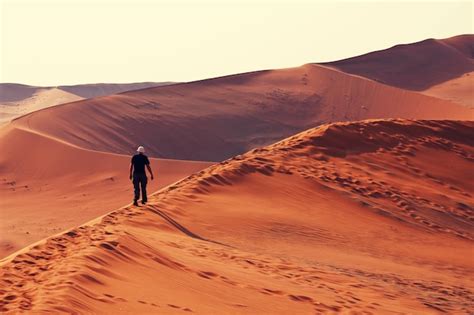 Premium Photo | Sand dunes in namib desert