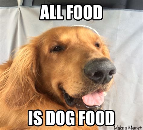 All Food Is Dog Food : r/memes