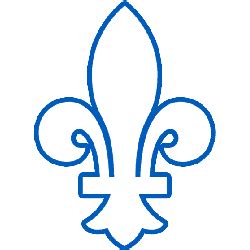 Quebec Nordiques Alternate Logo | SPORTS LOGO HISTORY