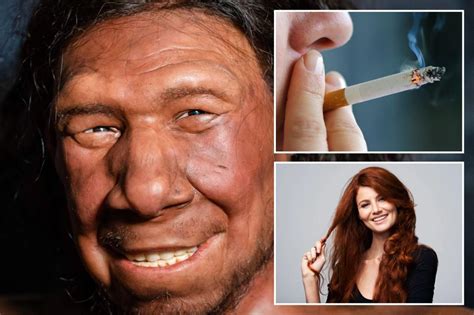 6 traits you possibly can thank Neanderthals for — from unhealthy habits to mattress occasions ...