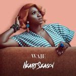 Waje Lyrics, Songs, and Albums | Genius