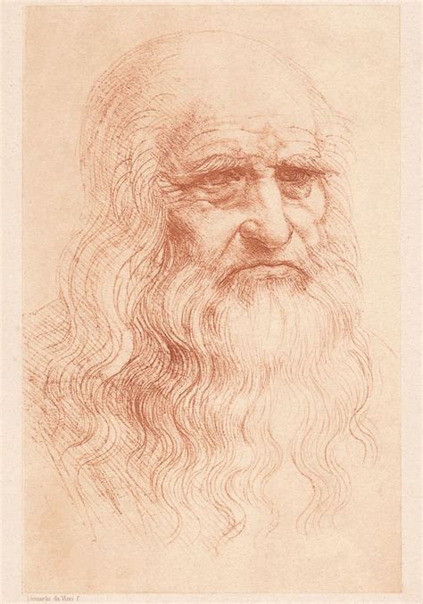 Leonardo Da Vinci Dibujos