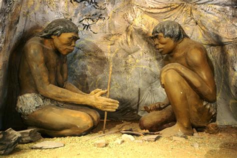 Food Processing Contributed To Human Evolution | Fanatic Cook
